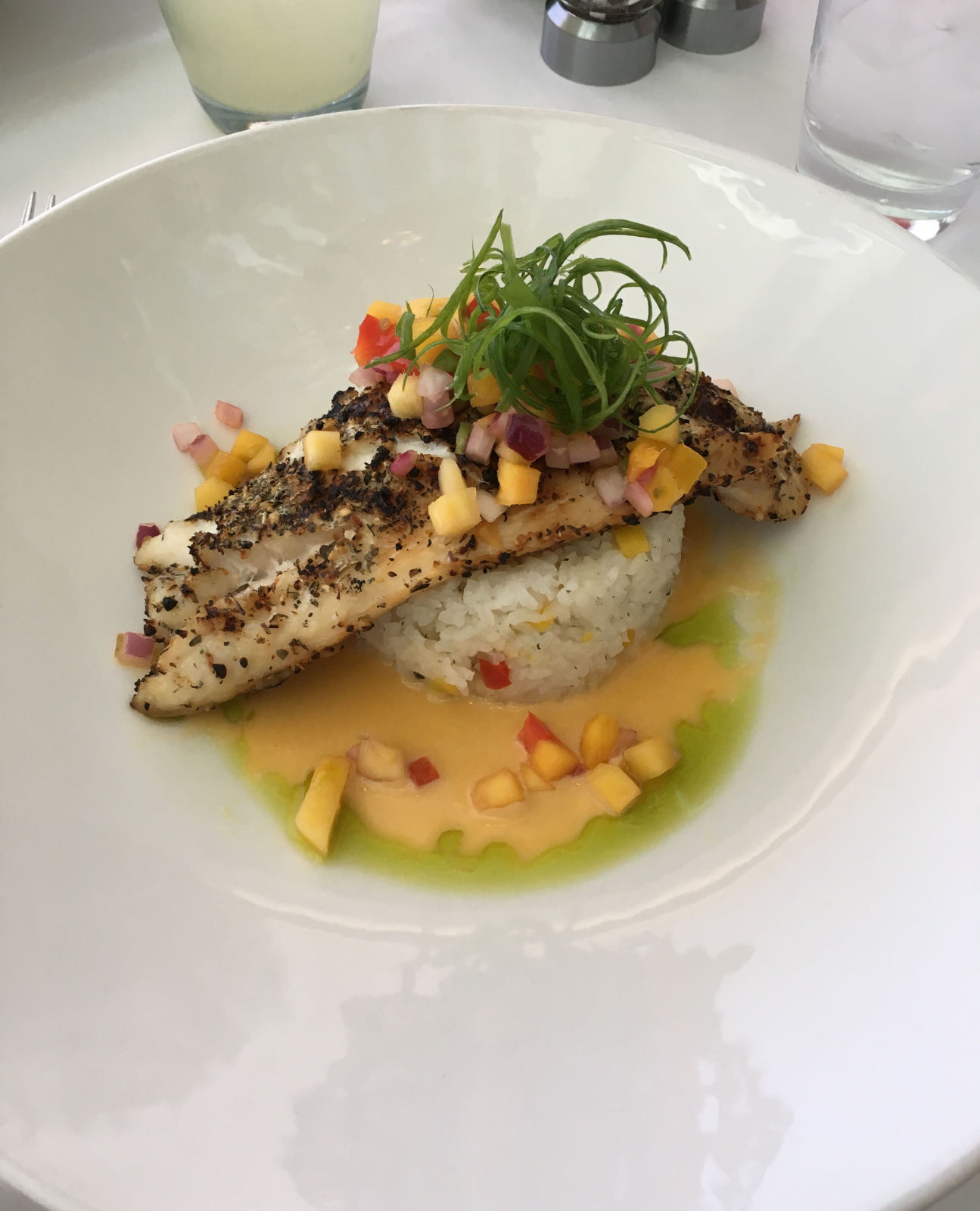 King West Snapper